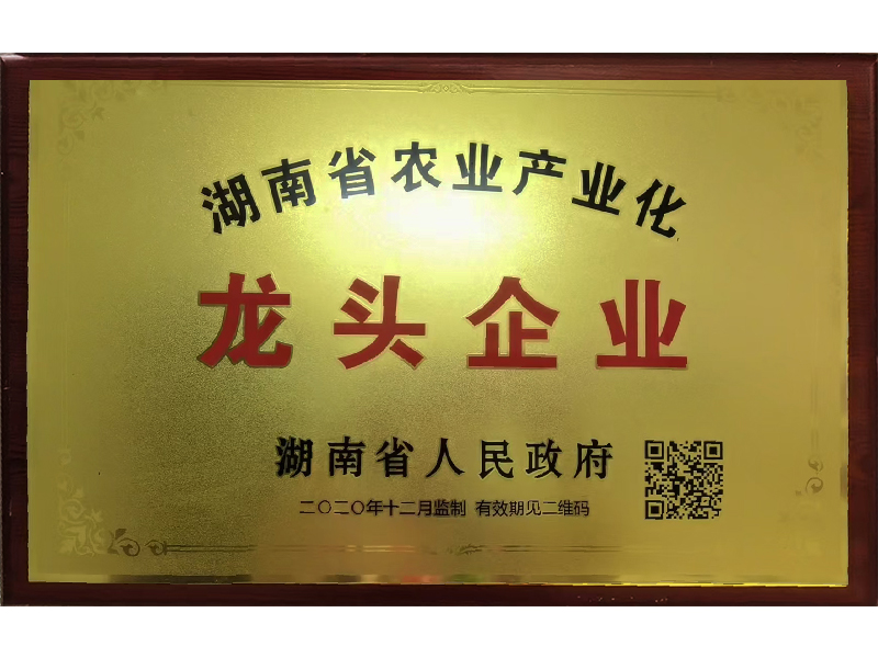 岳陽市漁之源食品有限公司,岳港漁都,洞庭魚港,散稱系列,田螺系列,臭豆腐加工，香豆腐加工，烤脖加工，魚仔,鴨排加工、雞丁加工代加工